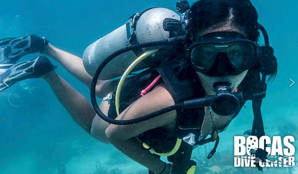 Bocas Dive Center