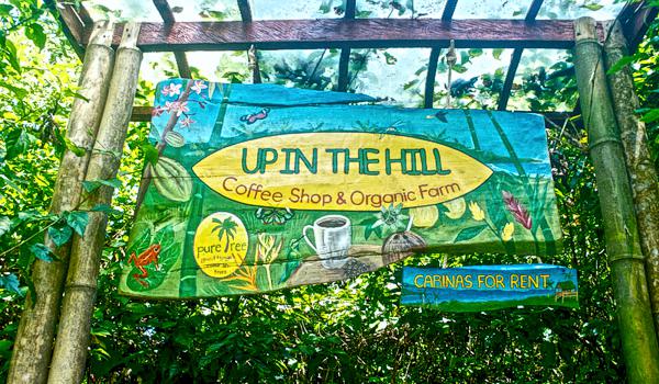  Up in the Hill Coffee Shop and Organic Farm 
