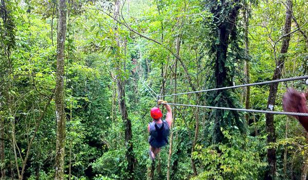 Zipline Canopy Tour